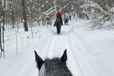 3165794d3fca61a2c8766c8417d1f4d4